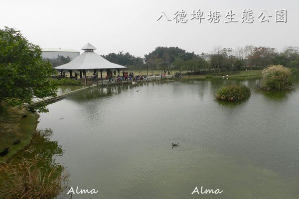 八德埤塘生態公園,公園 @艾瑪  吃喝玩樂札記