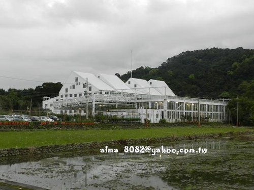 包心圓,宜蘭美食,植物園,牛奶土司,甕窯雞,義珍香,菓風,香草菲菲,麥香核桃