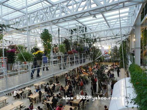 包心圓,宜蘭美食,植物園,牛奶土司,甕窯雞,義珍香,菓風(fēng),香草菲菲,麥香核桃