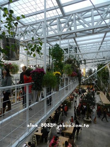 包心圓,宜蘭美食,植物園,牛奶土司,甕窯雞,義珍香,菓風,香草菲菲,麥香核桃