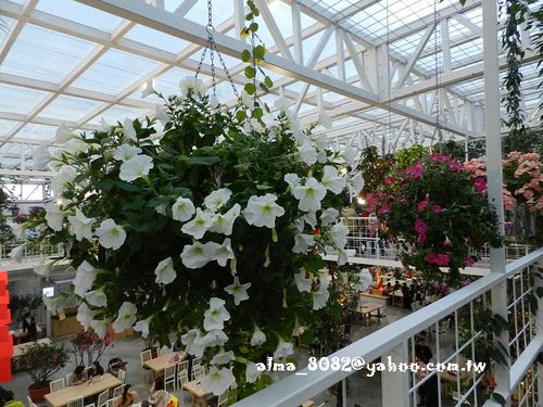 包心圓,宜蘭美食,植物園,牛奶土司,甕窯雞,義珍香,菓風(fēng),香草菲菲,麥香核桃