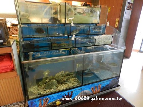 好吃,海鮮,清蒸鱸魚,熱炒,阿莫品味餐廳,餐廳,香芒金絲蝦