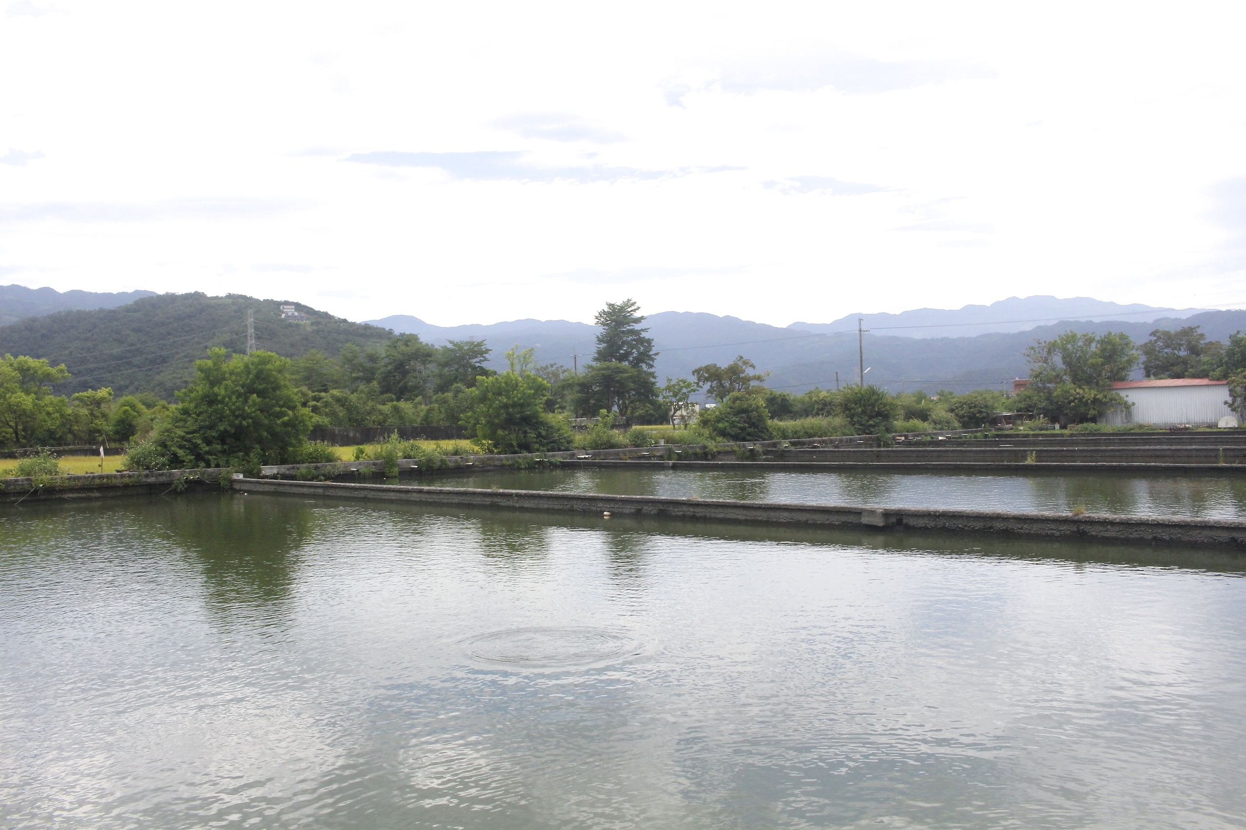 勝洋水草,臺中景點,親子景點