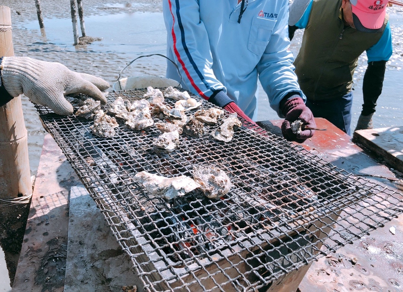 彰化景點,親子遊,阿進帶你採蚵趣