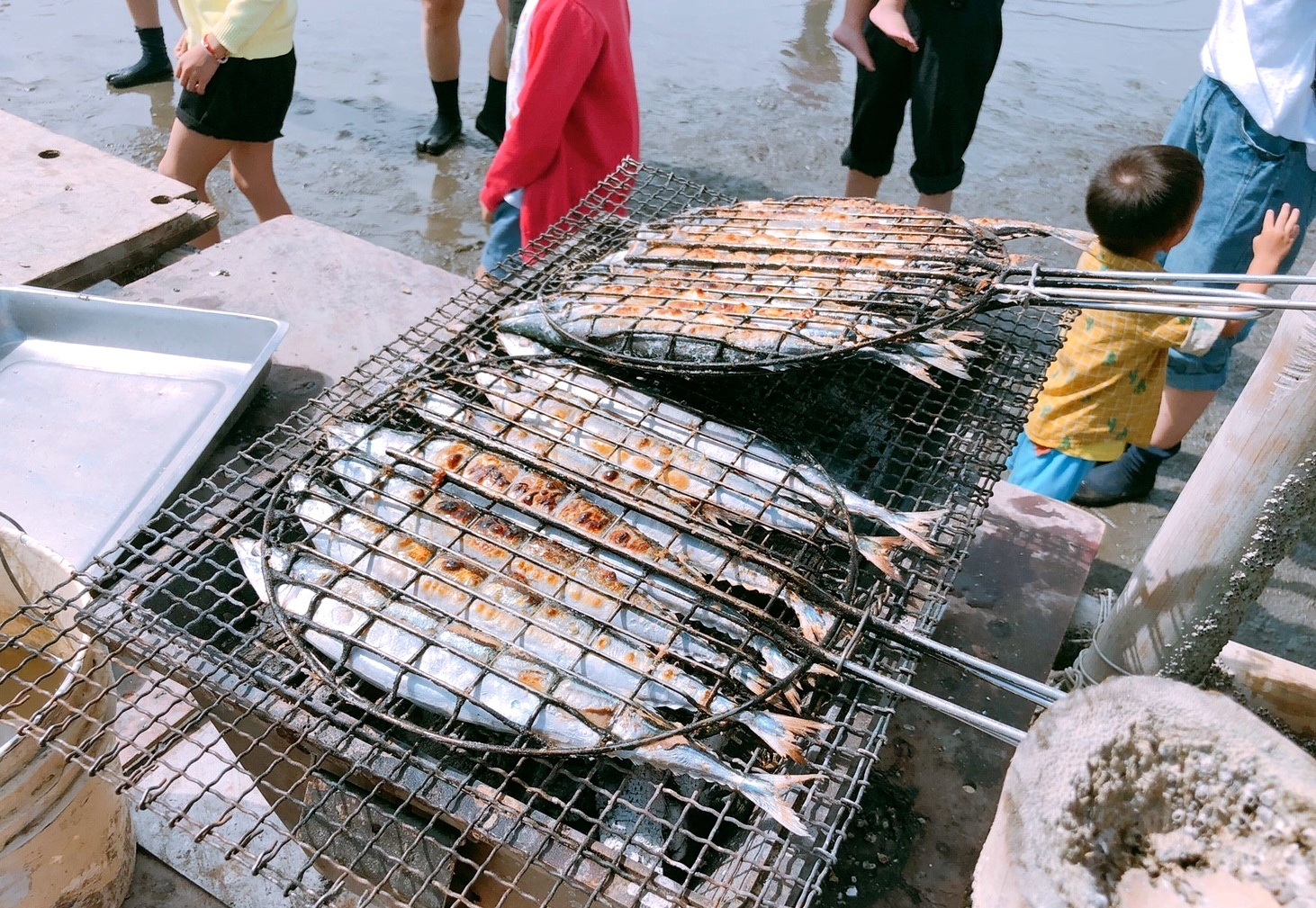 彰化景點,親子遊,阿進帶你採蚵趣