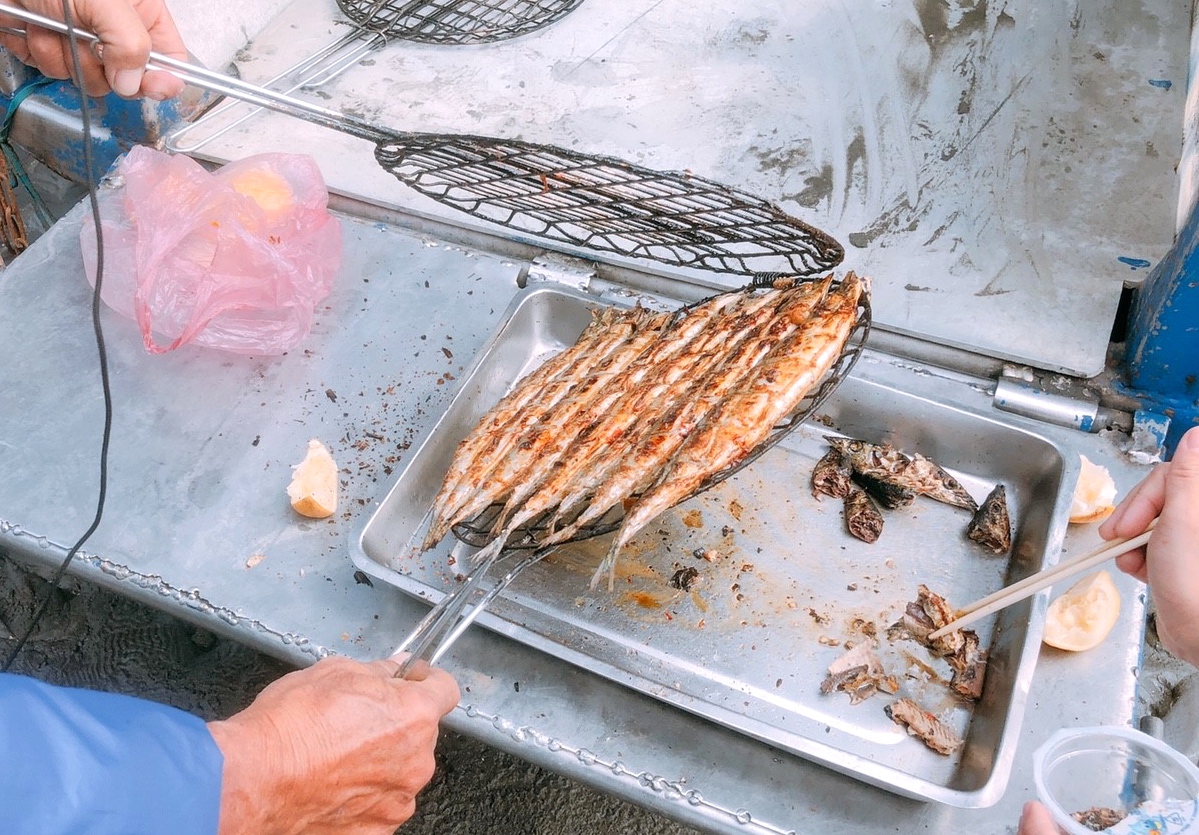 彰化景點,親子遊,阿進帶你採蚵趣