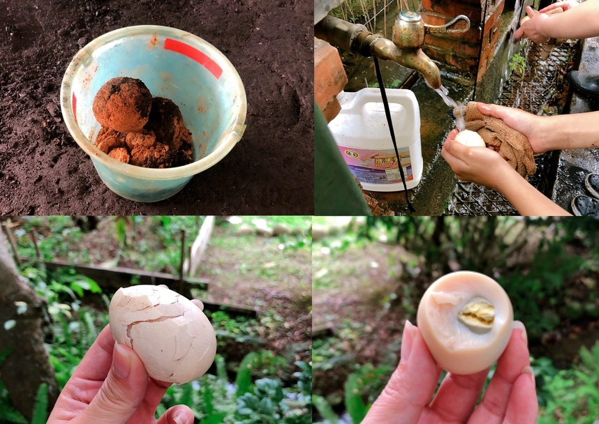 桃園農場,桃園景點,玩水,蓋窯,餐廳,親子,農場,餵食,活力健康農場