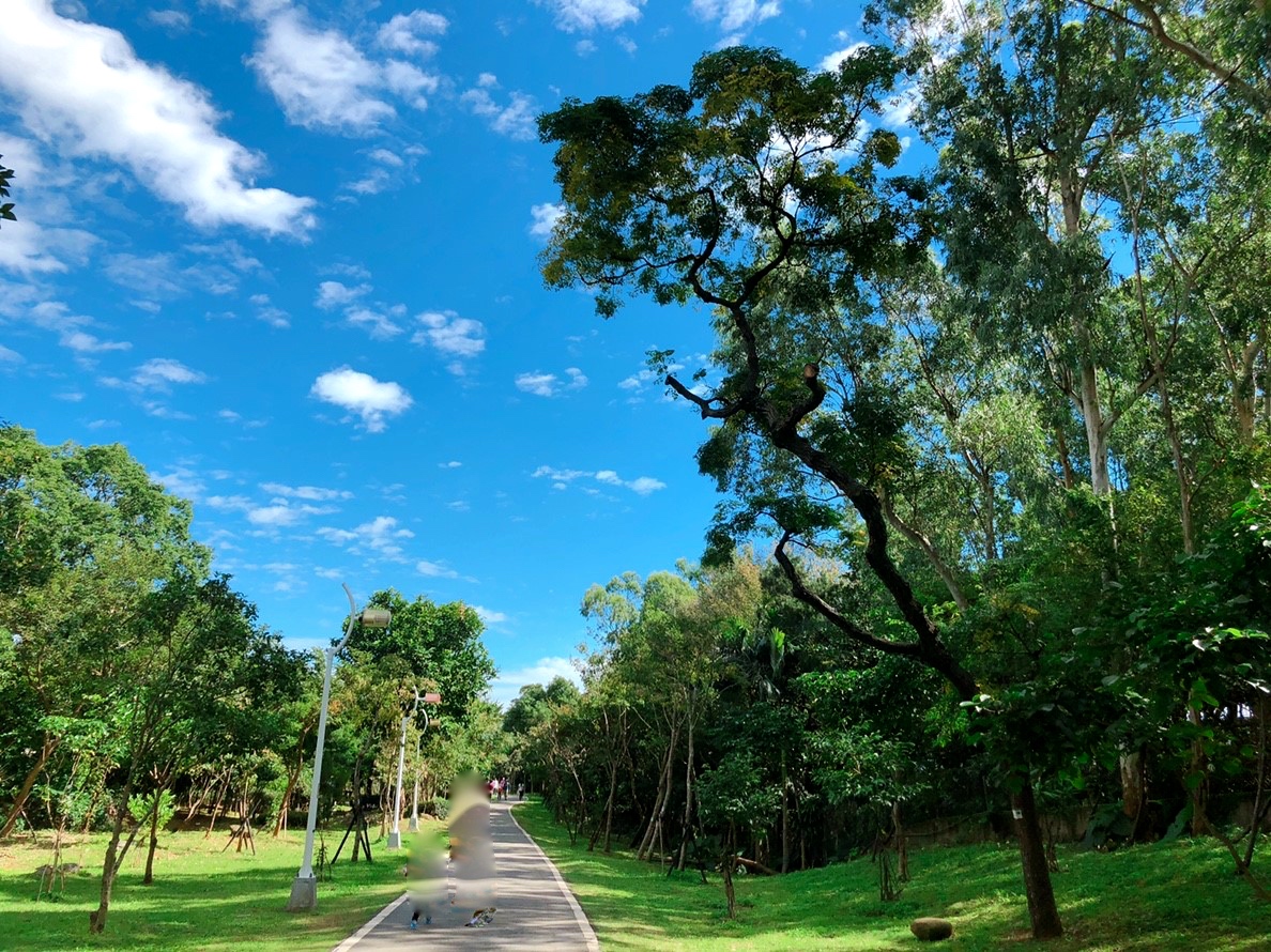 【新北 林口樂活公園】超立體捷運主題溜滑梯。四米高超快速來不及尖叫啦!!!