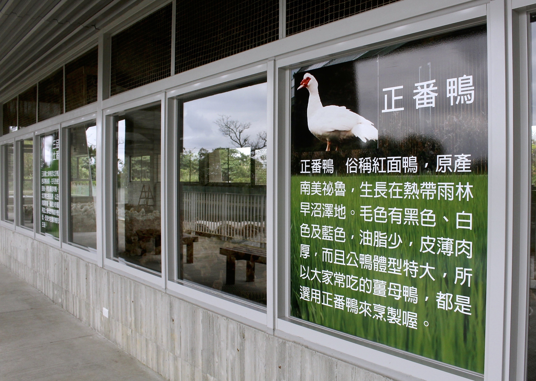 ㄚㄚ生態園區,宜蘭景點,甲鳥園