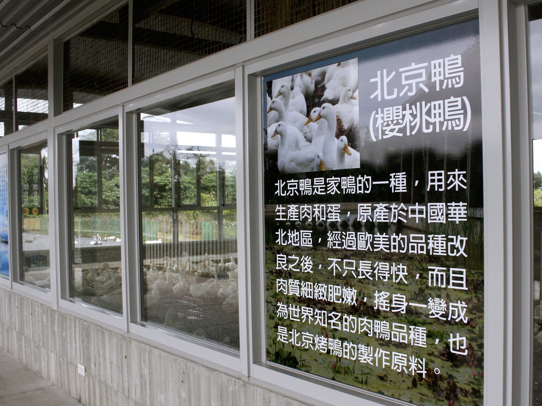 ㄚㄚ生態園區,宜蘭景點,甲鳥園