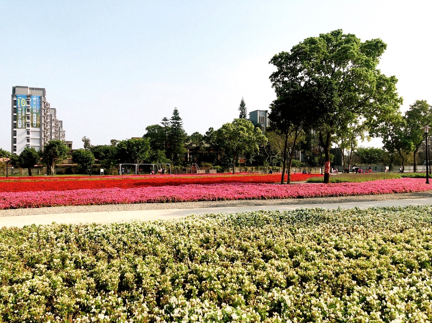 【桃園 客家園區共融式遊戲場】藏匿於浪漫花海。以鞦韆為主題的客家公園