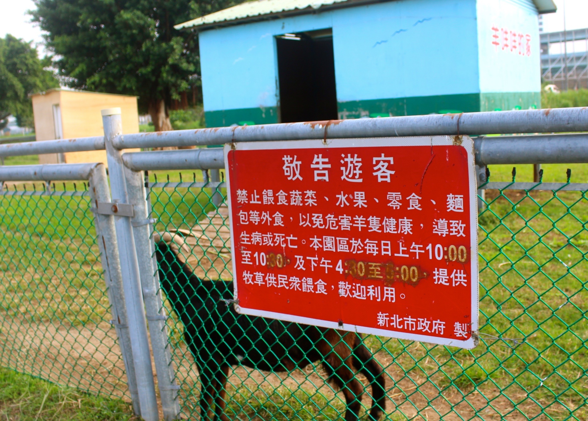 二重疏洪親水公園,羊咩咩的家,遙控賽車場