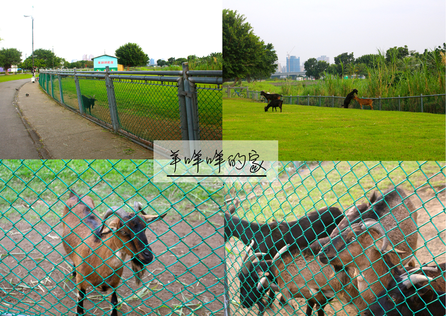 二重疏洪親水公園,羊咩咩的家,遙控賽車場