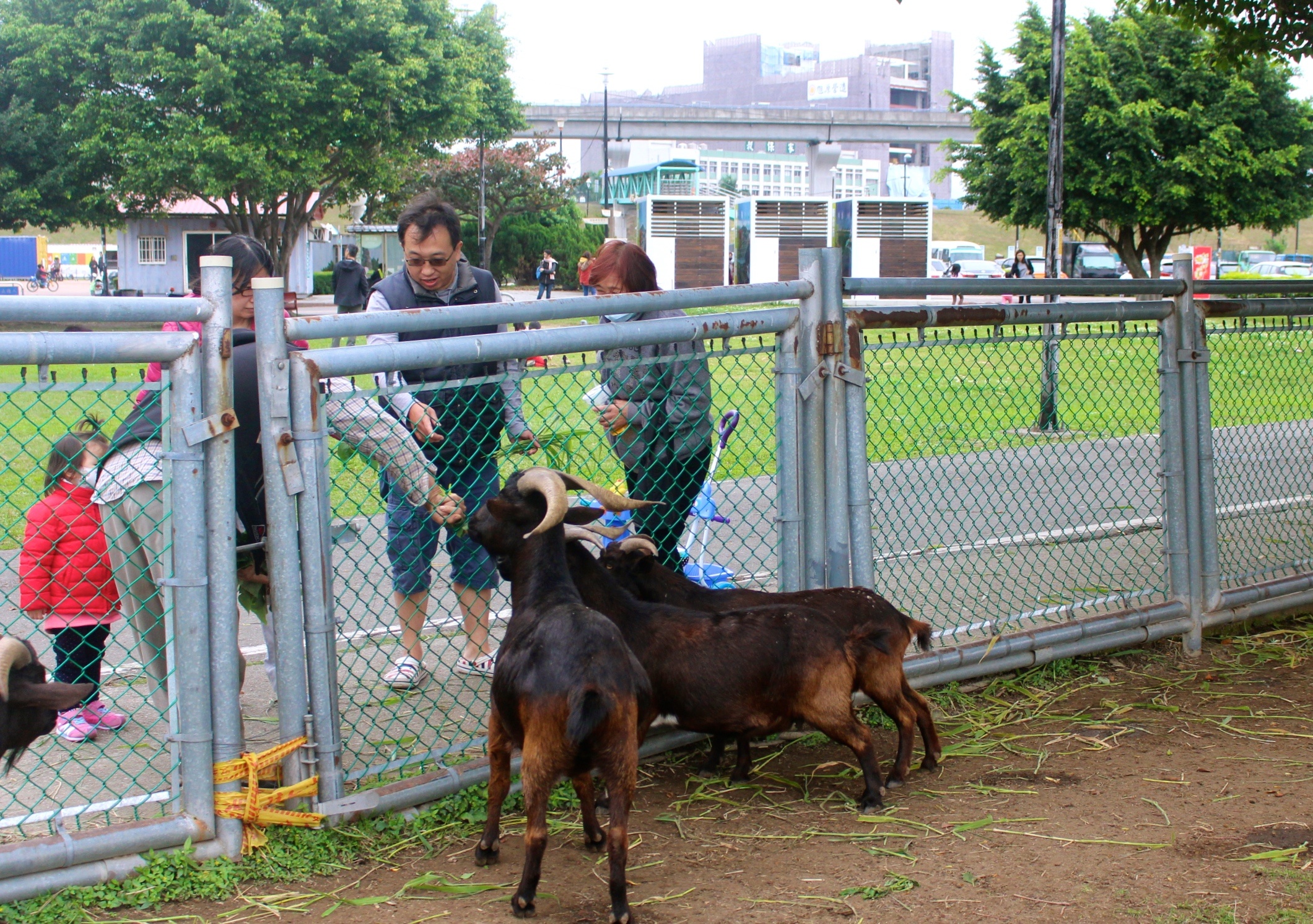 二重疏洪親水公園,羊咩咩的家,遙控賽車場