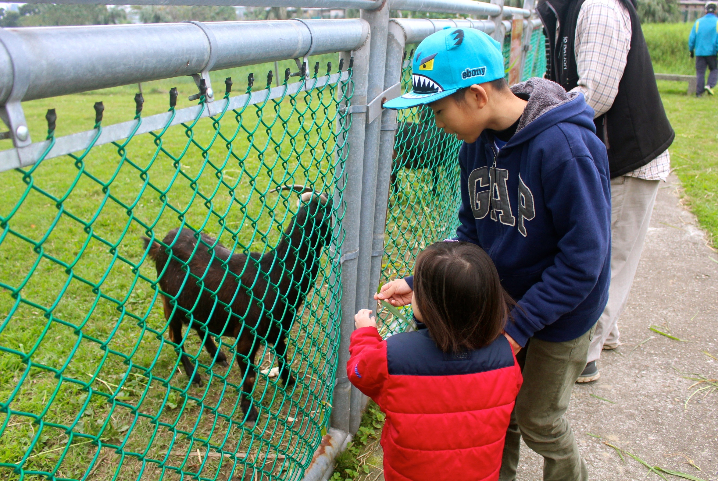 【新北 二重疏洪親水公園】免費餵食「羊咩咩的家」。暢遊自行車道/遙控賽車場/三種球場