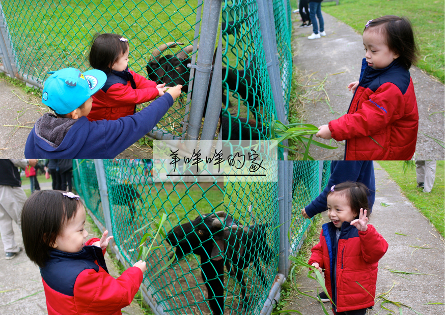 二重疏洪親水公園,羊咩咩的家,遙控賽車場