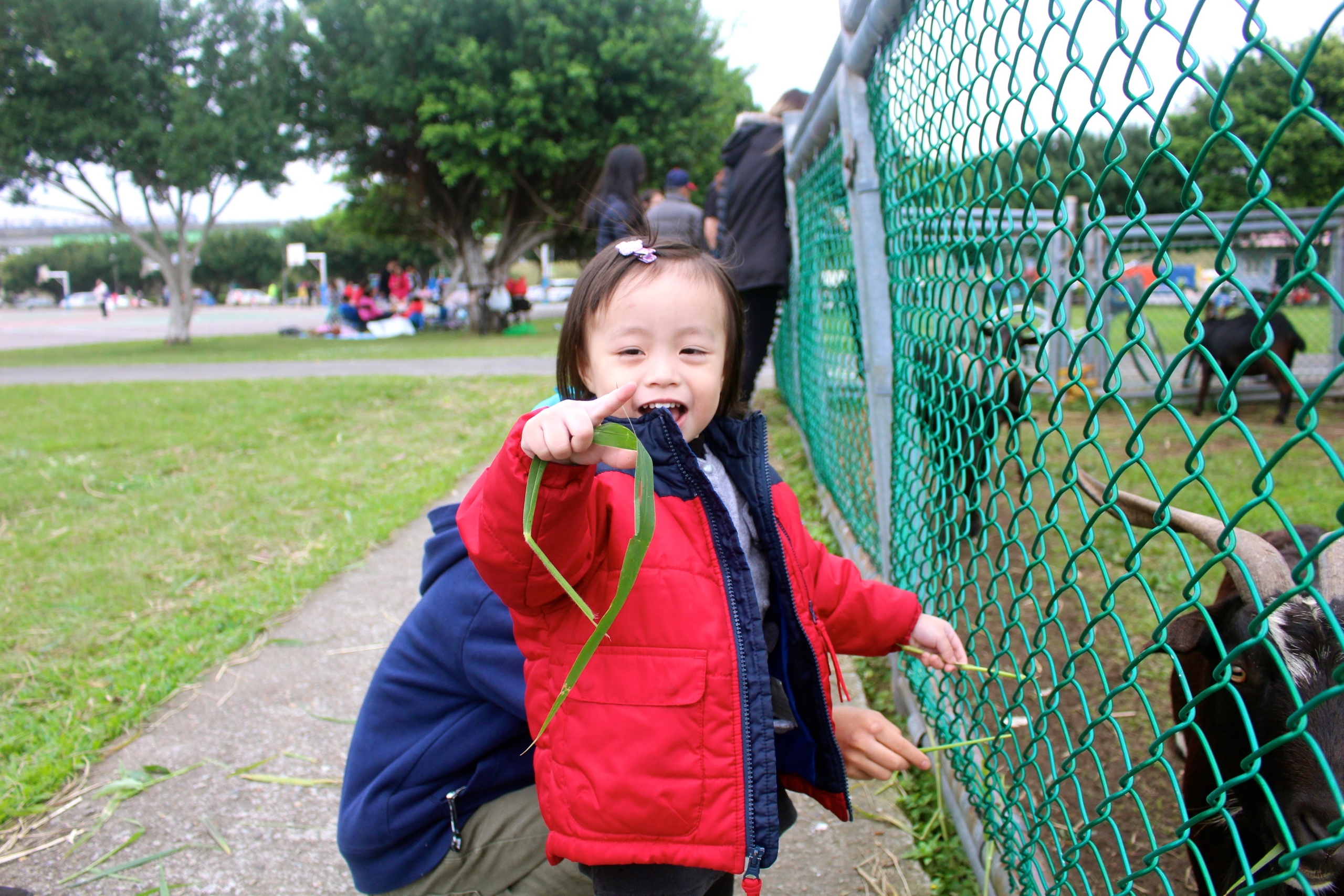 二重疏洪親水公園,羊咩咩的家,遙控賽車場