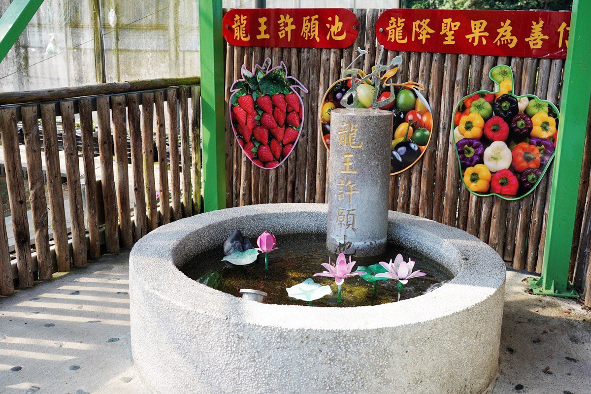 免費(fèi)景點(diǎn),採番茄,新竹好玩,水果拼盤,番茄汁,親子景點(diǎn),踩果,金勇番茄DIY,關(guān)西景點(diǎn),麻糬DIY