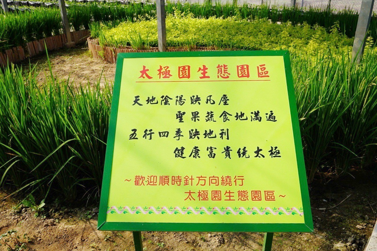 免費(fèi)景點(diǎn),採番茄,新竹好玩,水果拼盤,番茄汁,親子景點(diǎn),踩果,金勇番茄DIY,關(guān)西景點(diǎn),麻糬DIY