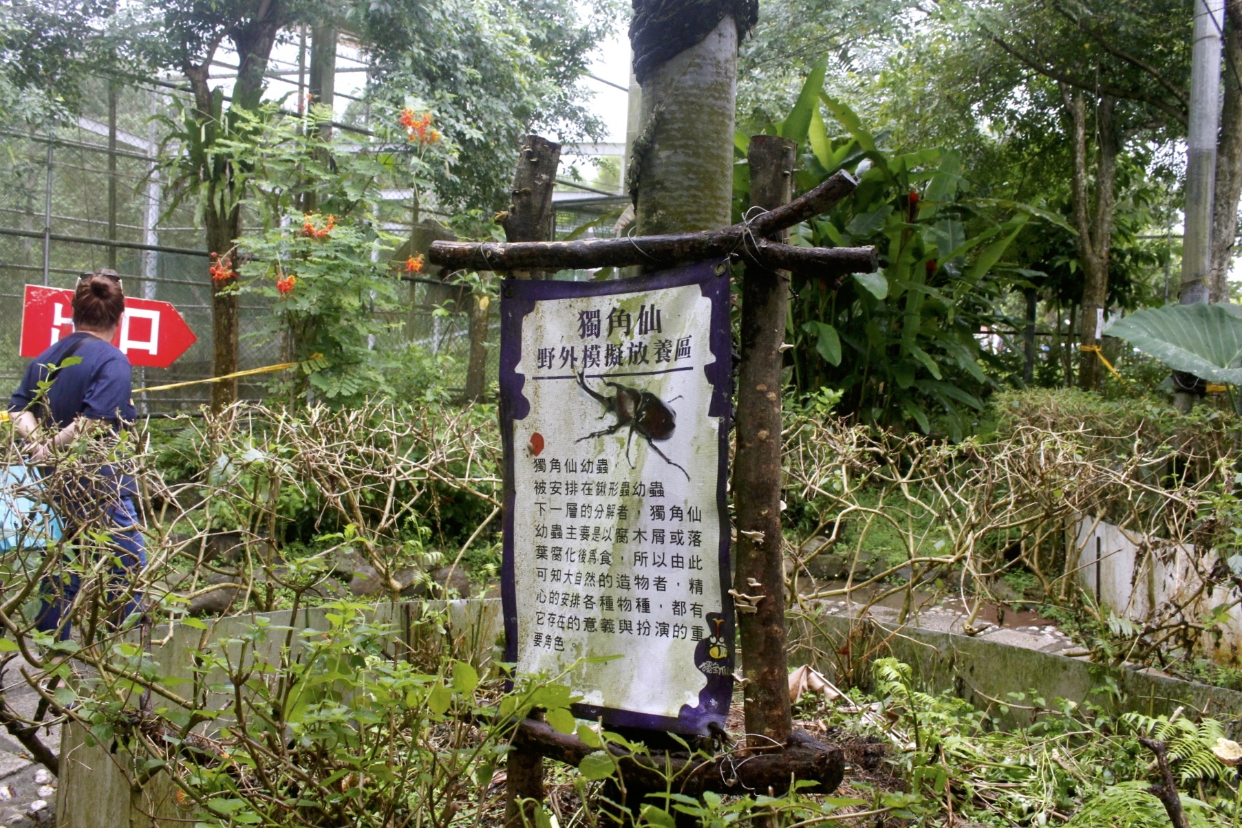 公園,動物,嘉義景點,小火車,沙坑,獨角仙農場,親子旅遊,農場,遊戲場