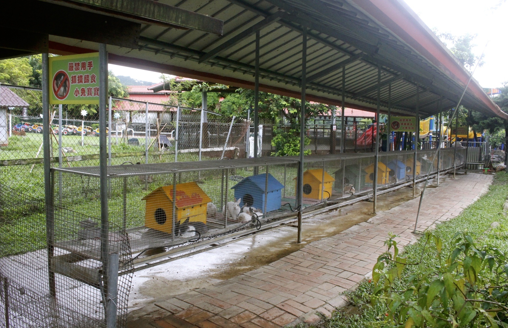 公園,動物,嘉義景點,小火車,沙坑,獨角仙農場,親子旅遊,農場,遊戲場