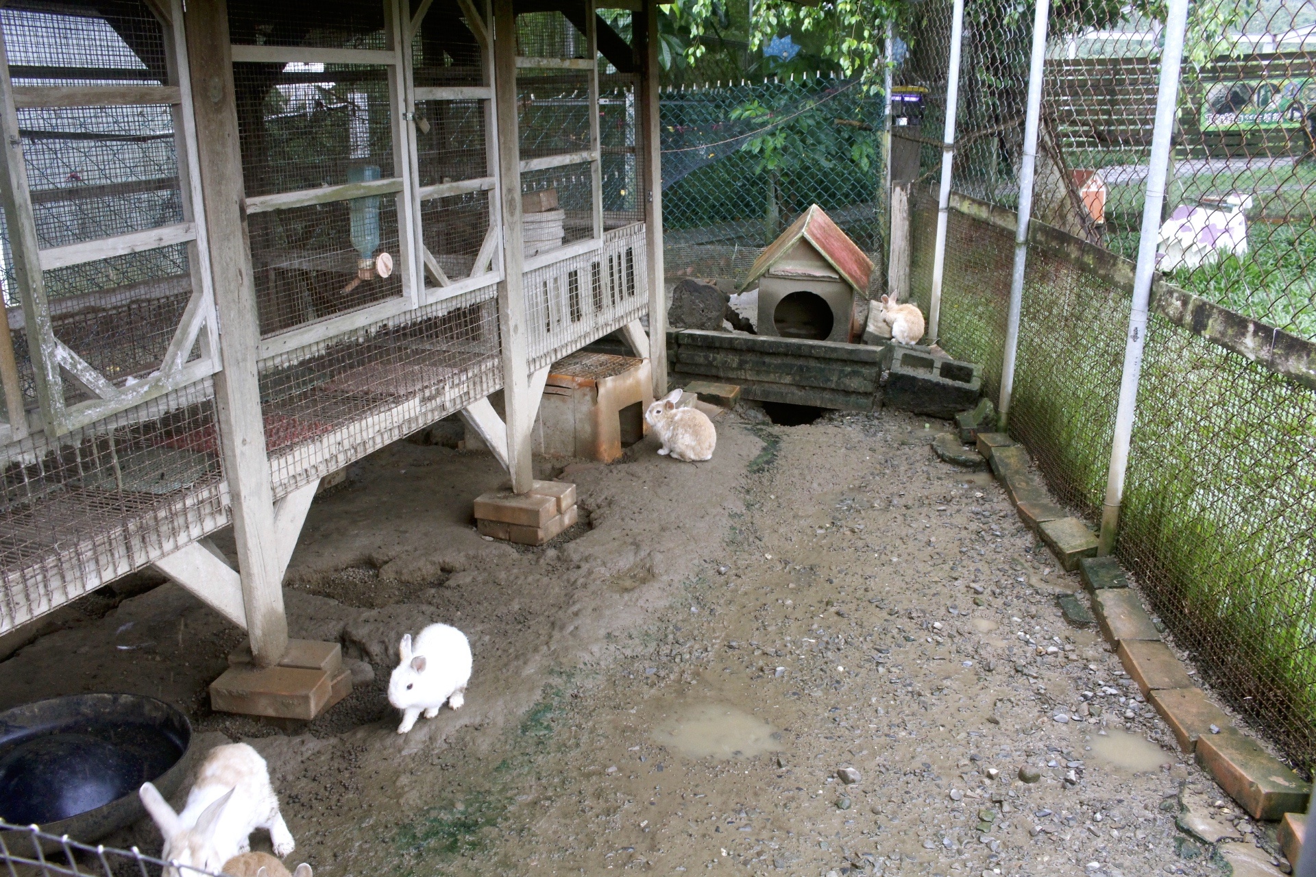 公園,動物,嘉義景點,小火車,沙坑,獨角仙農場,親子旅遊,農場,遊戲場