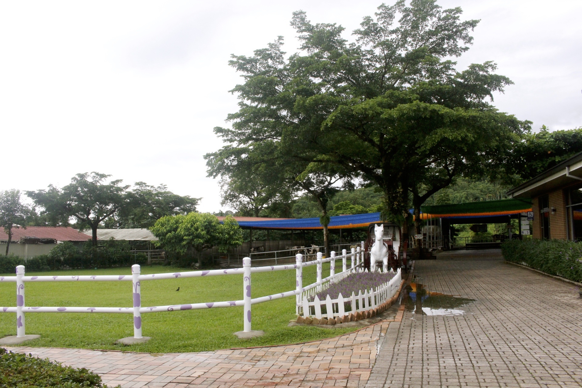 公園,動物,嘉義景點,小火車,沙坑,獨角仙農場,親子旅遊,農場,遊戲場