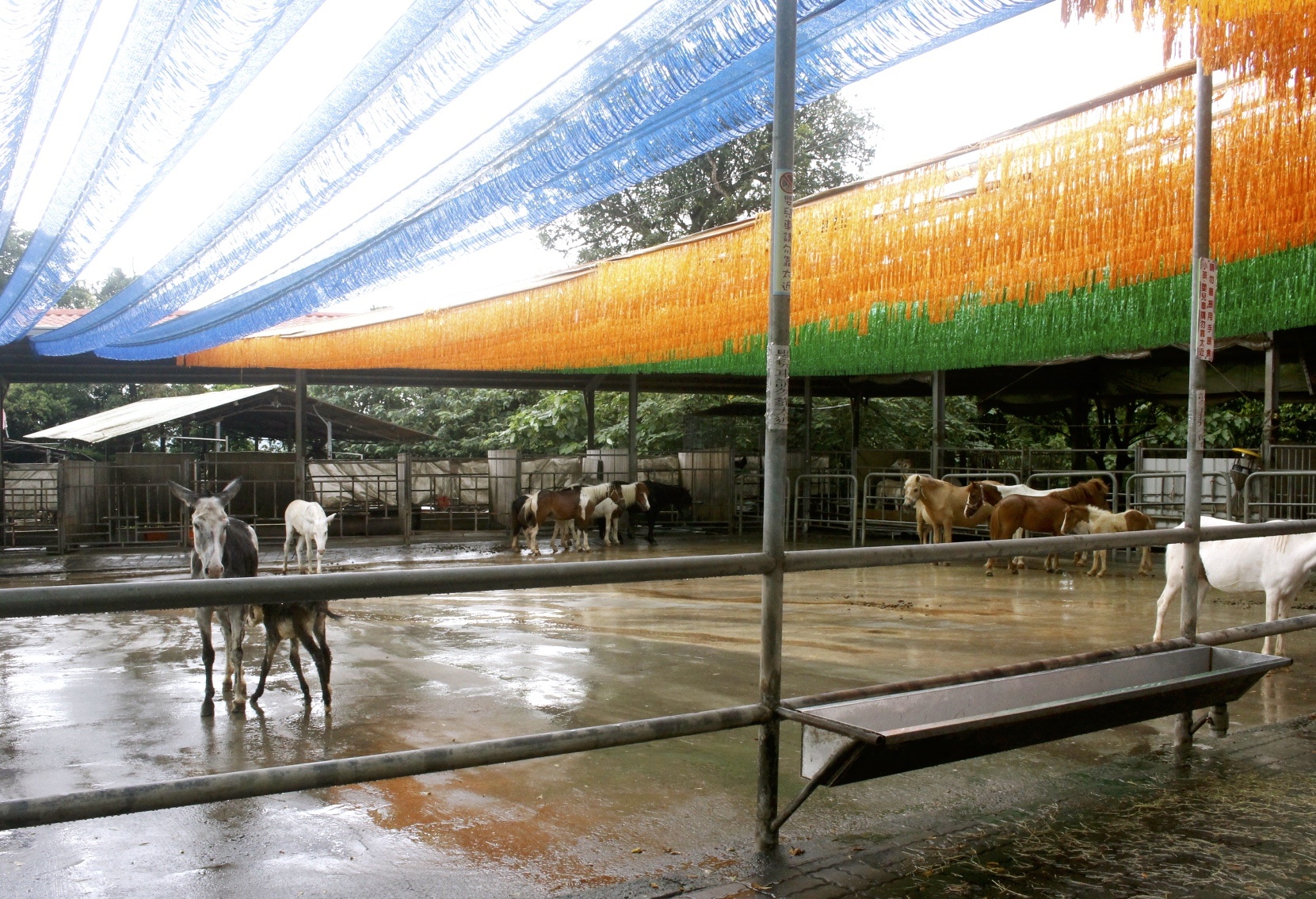 公園,動物,嘉義景點,小火車,沙坑,獨角仙農場,親子旅遊,農場,遊戲場