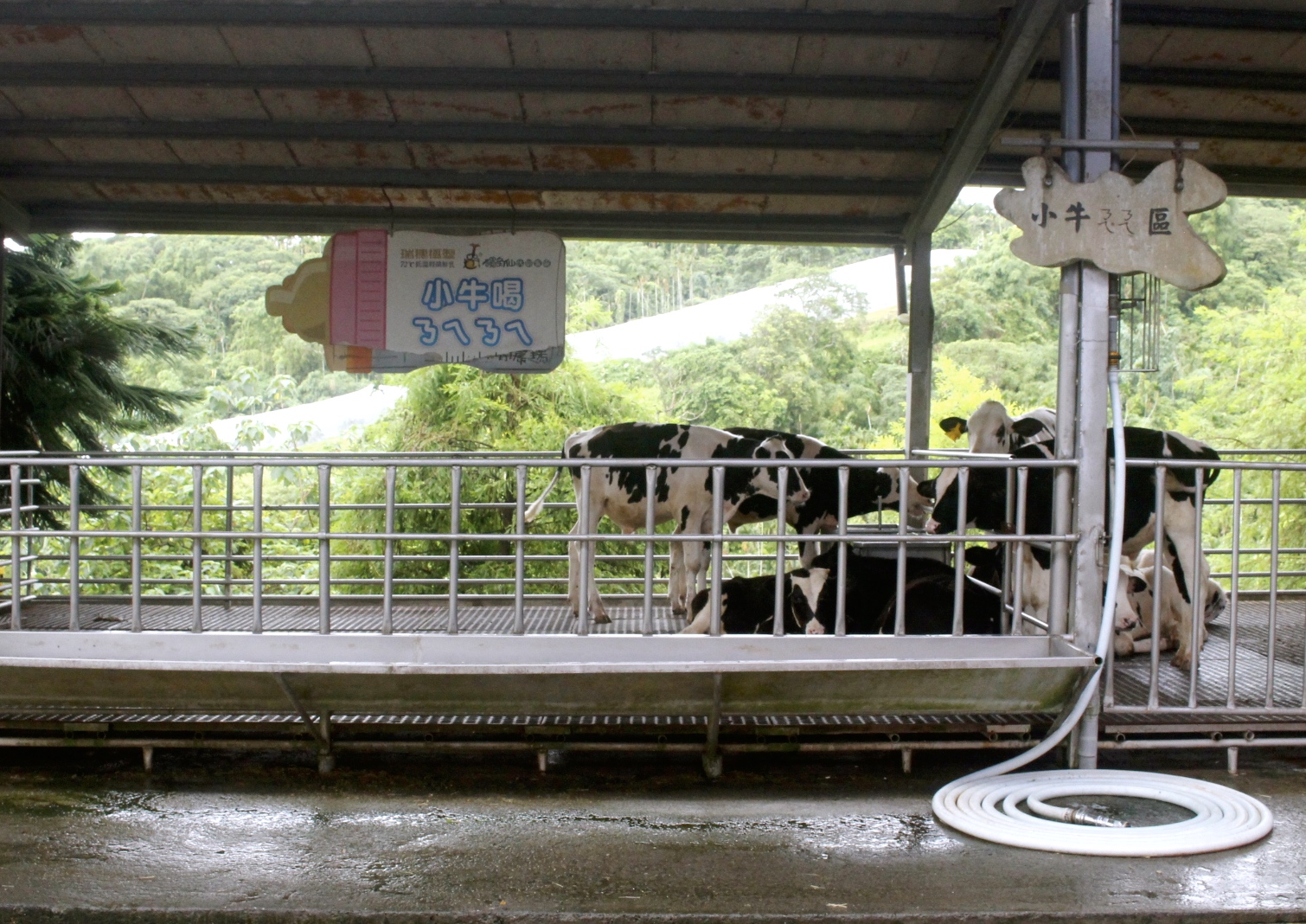 公園,動物,嘉義景點,小火車,沙坑,獨角仙農場,親子旅遊,農場,遊戲場