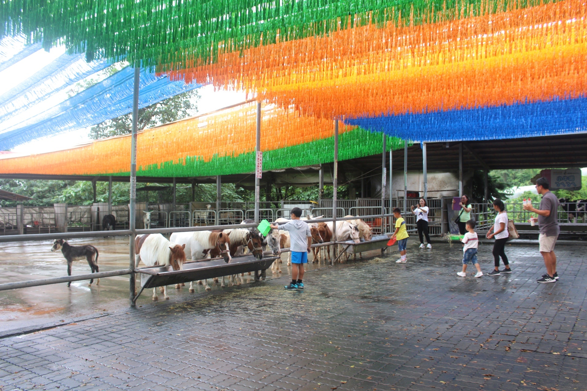 公園,動物,嘉義景點,小火車,沙坑,獨角仙農場,親子旅遊,農場,遊戲場