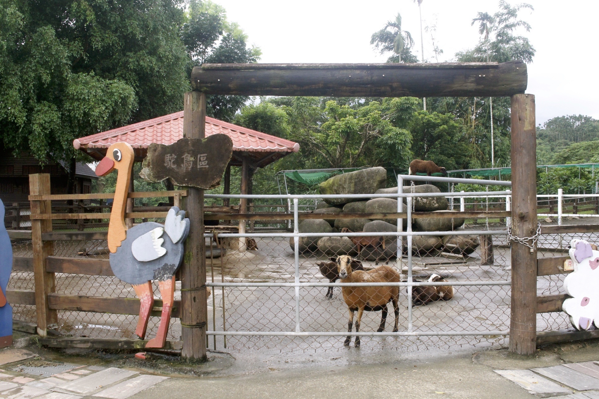 公園,動物,嘉義景點,小火車,沙坑,獨角仙農場,親子旅遊,農場,遊戲場