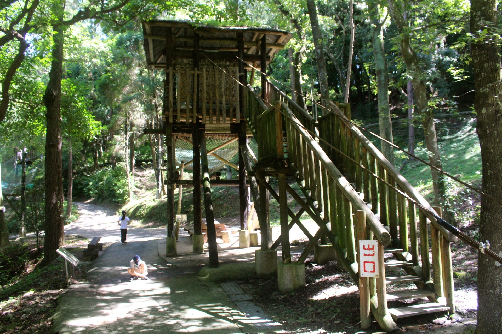 臺中好玩,臺中景點,東勢林場,親子遊