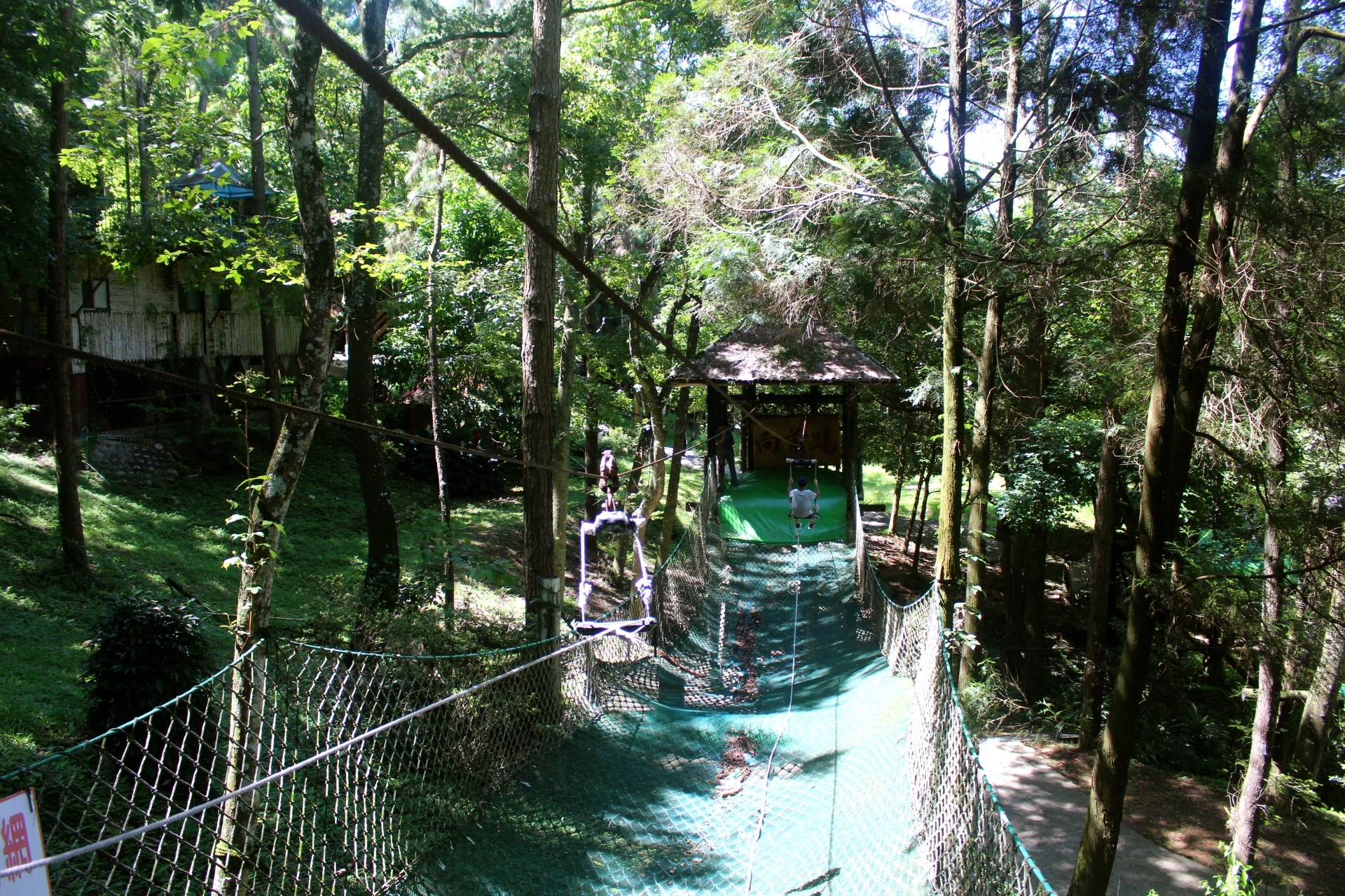 【臺中 東勢林場】中部最大體能訓(xùn)練區(qū)「滑索鞦韆、滑草、超長溜滑梯」還有森之湯泡足、甲蟲區(qū)喔！