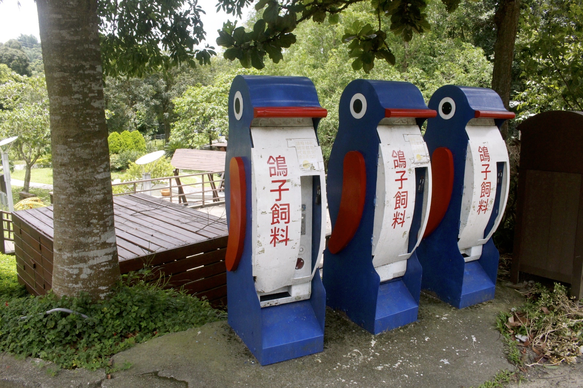 臺中好玩,臺中景點,東勢林場,親子遊