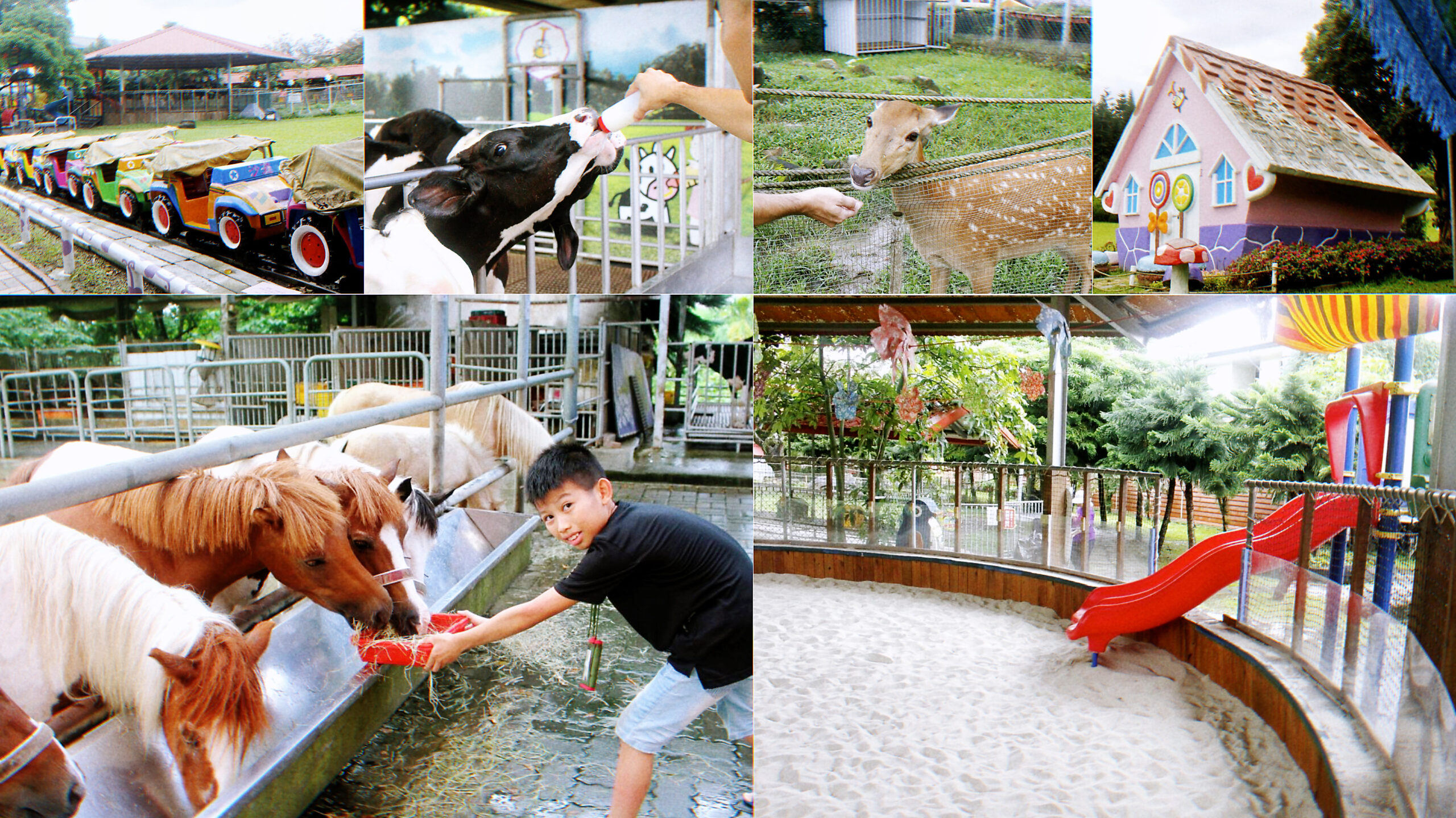 公園,動物,嘉義景點,小火車,沙坑,獨角仙農場,親子旅遊,農場,遊戲場 @艾瑪  吃喝玩樂札記