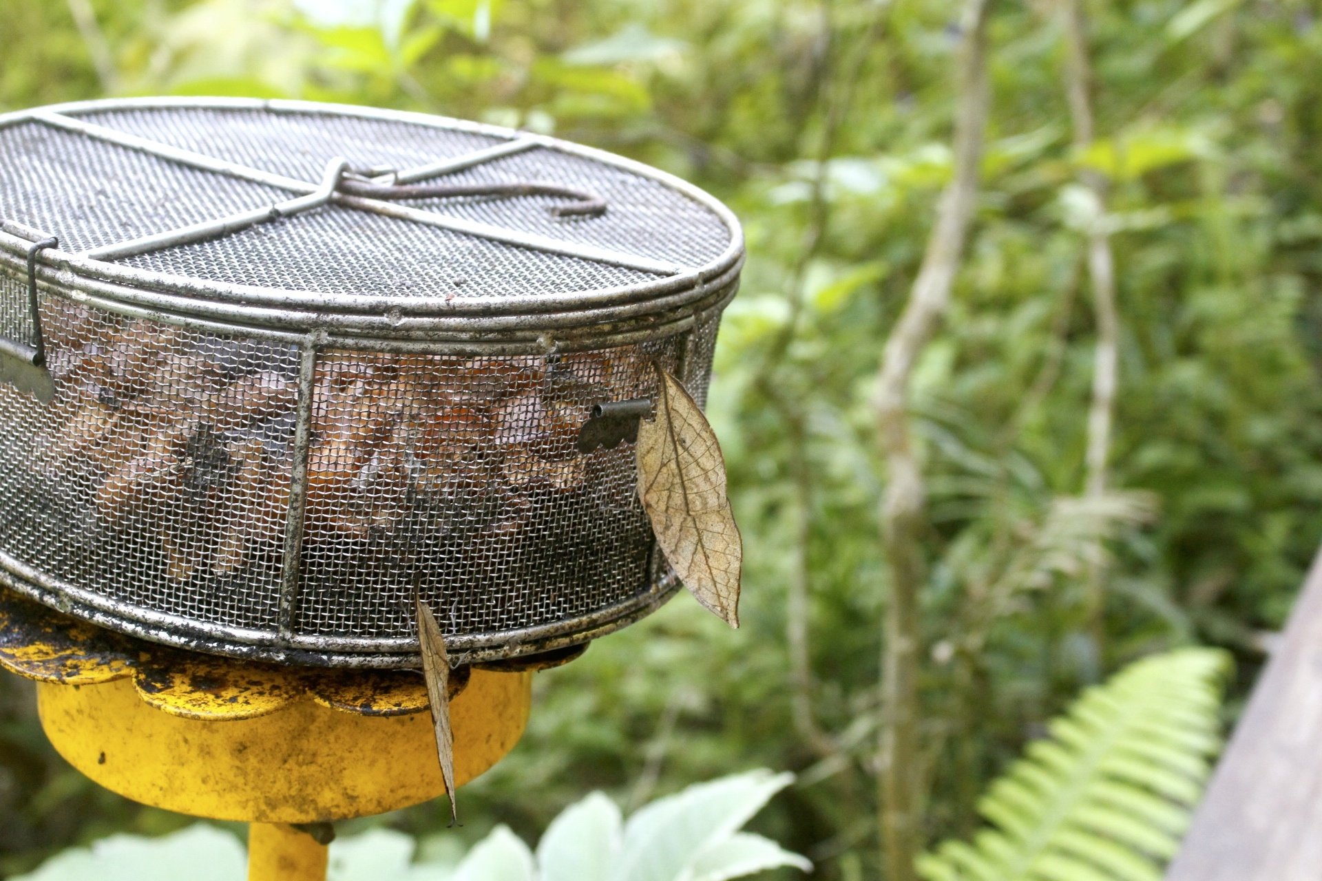 好玩景點,木柵動物園,熱帶雨林館,親子遊