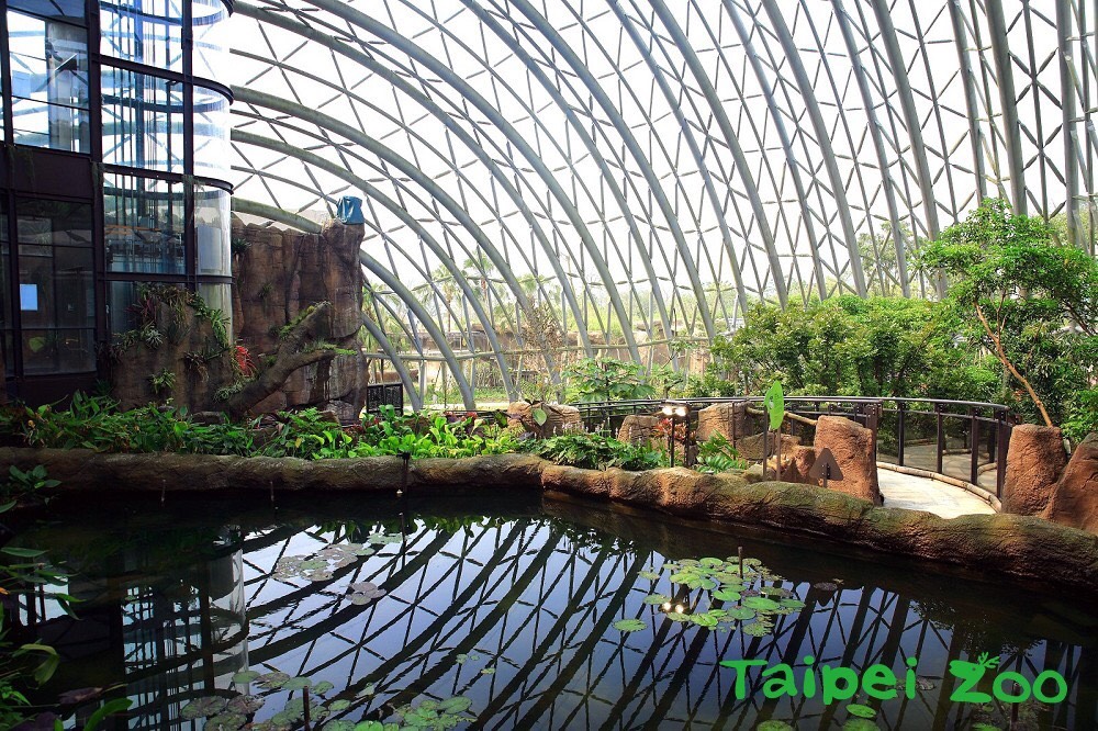 好玩景點,木柵動物園,熱帶雨林館,親子遊