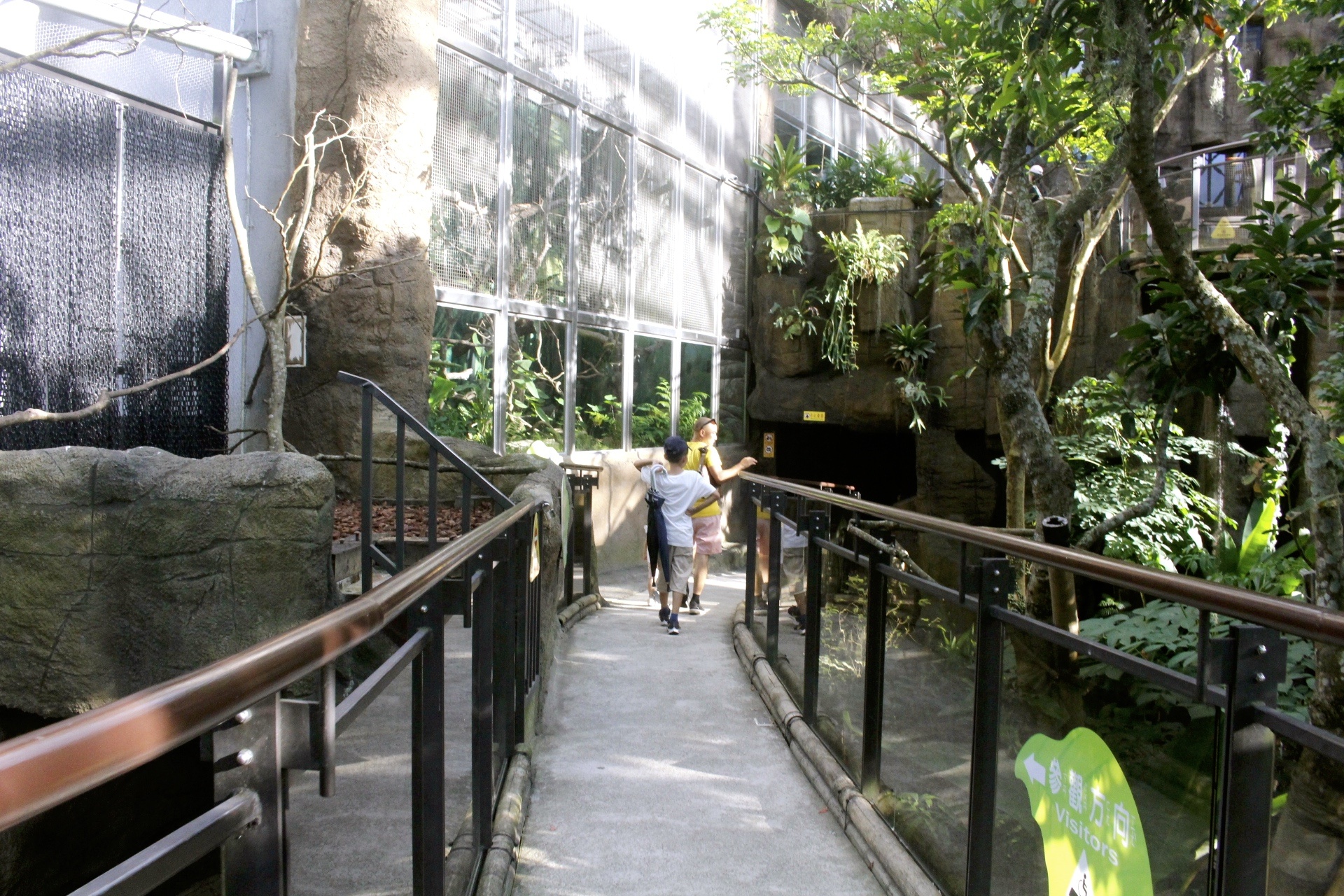 好玩景點,木柵動物園,熱帶雨林館,親子遊