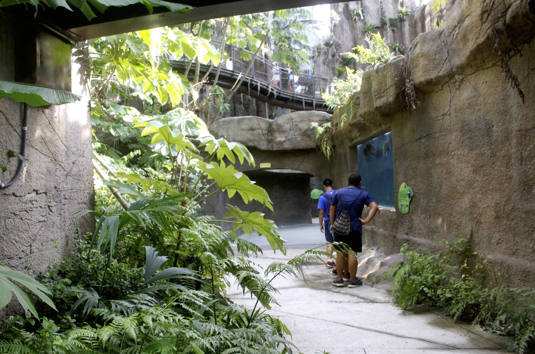 好玩景點(diǎn),木柵動(dòng)物園,熱帶雨林館,親子遊