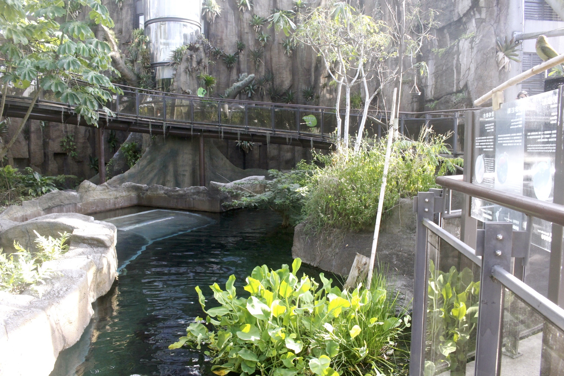 好玩景點(diǎn),木柵動(dòng)物園,熱帶雨林館,親子遊