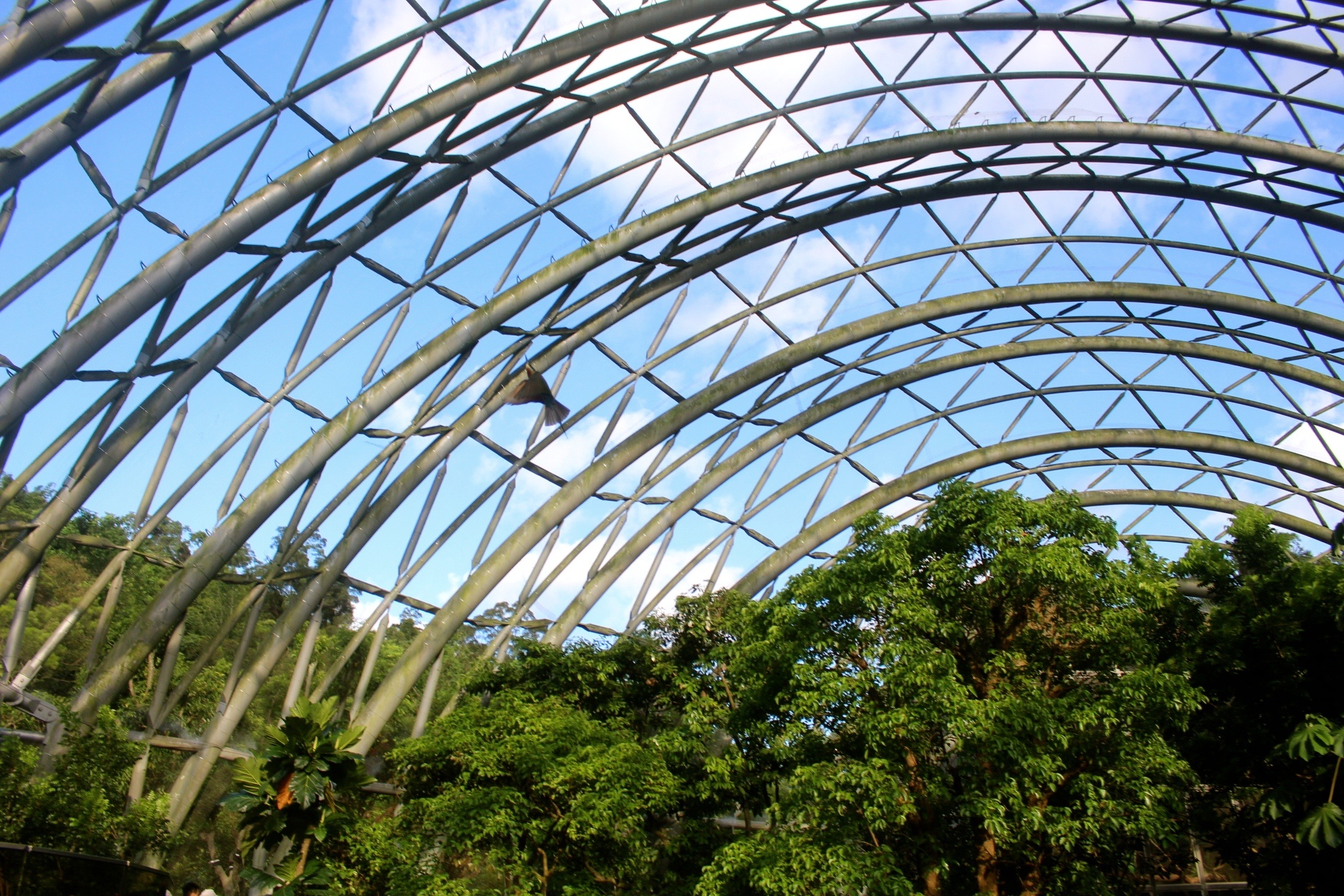 好玩景點(diǎn),木柵動(dòng)物園,熱帶雨林館,親子遊