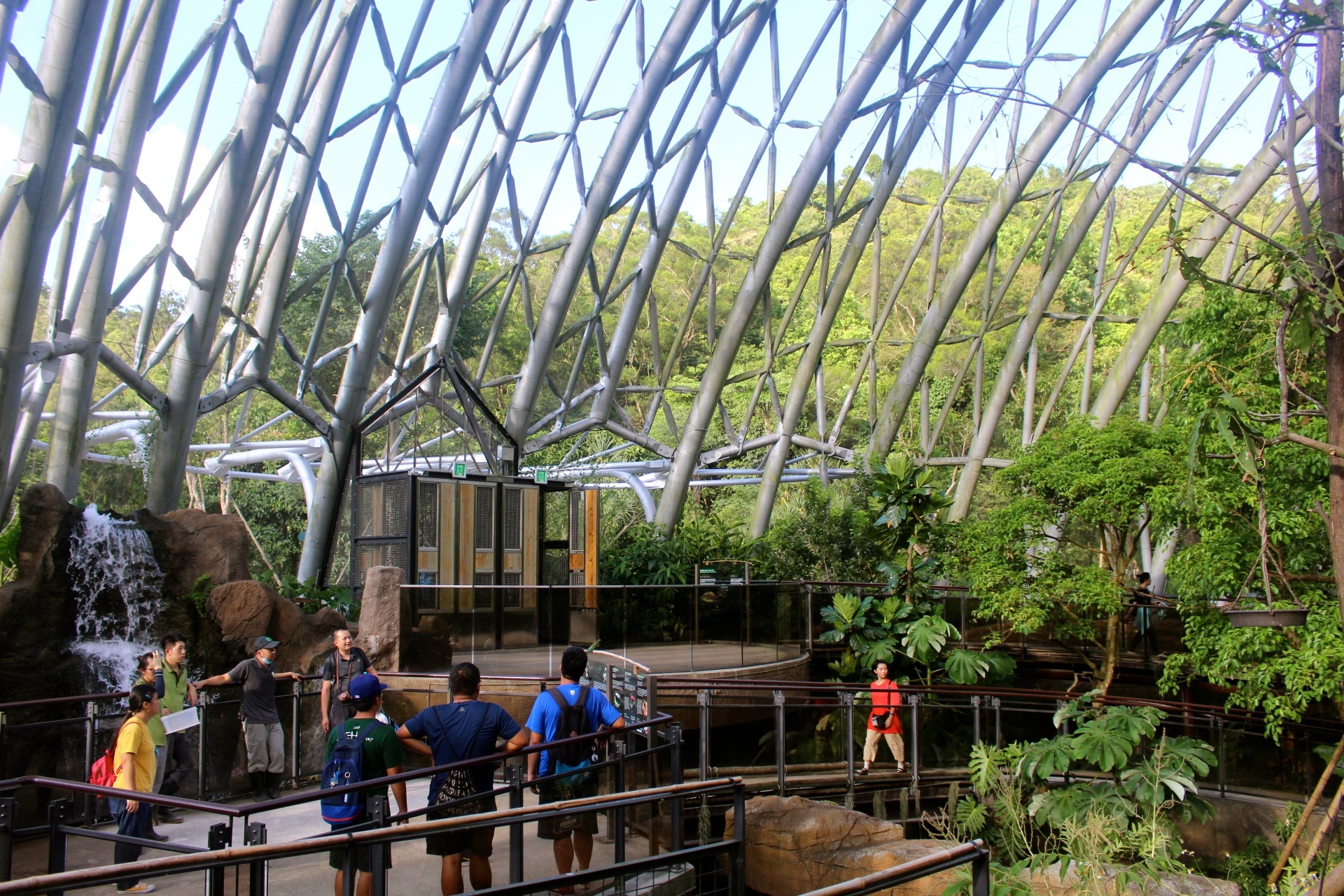 【臺北 Taipei Zoo木柵動物園】暑期新館！經歷13年、斥資3.9億打造24公尺高「熱帶雨林」館，平日時間自由進出