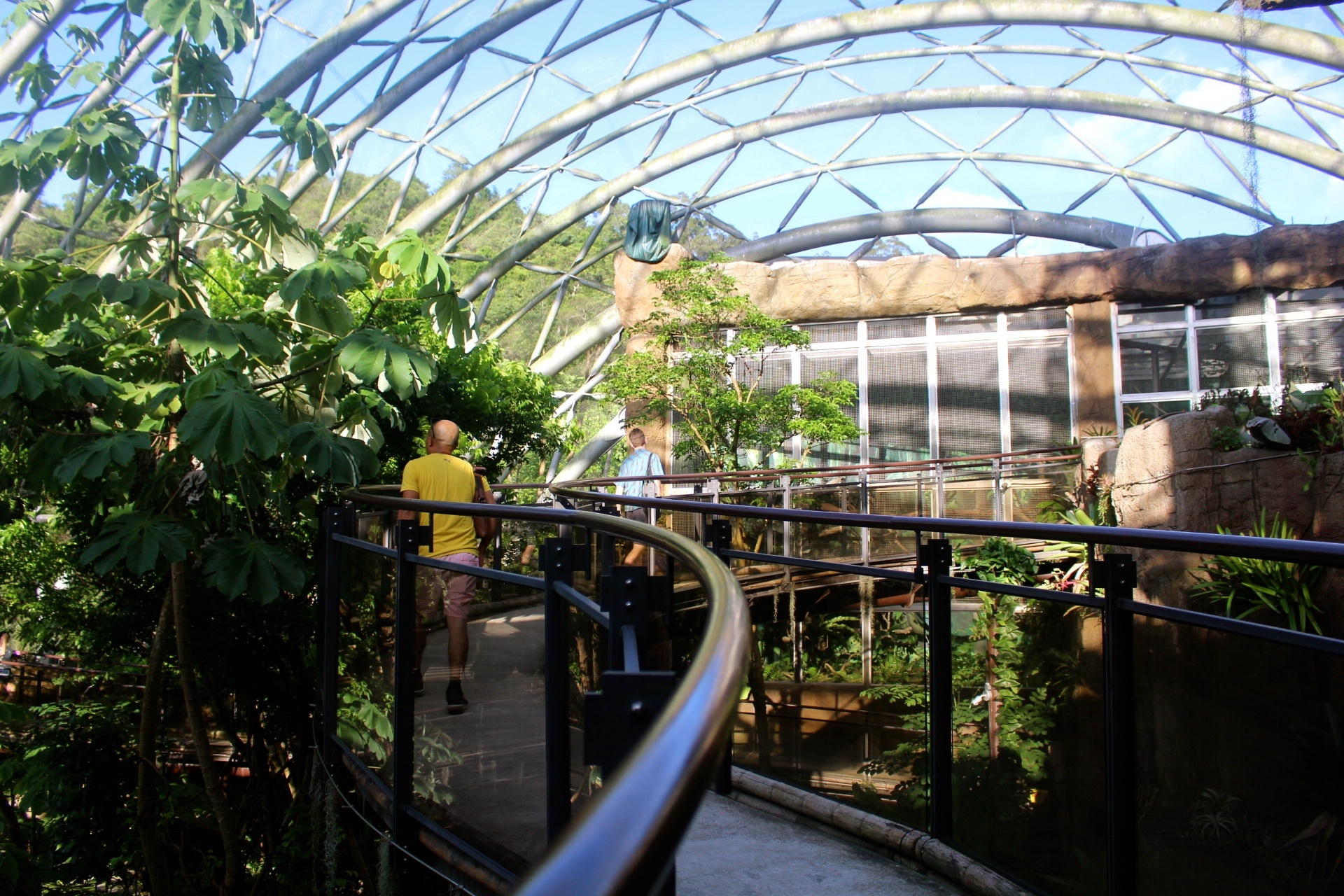 好玩景點(diǎn),木柵動(dòng)物園,熱帶雨林館,親子遊