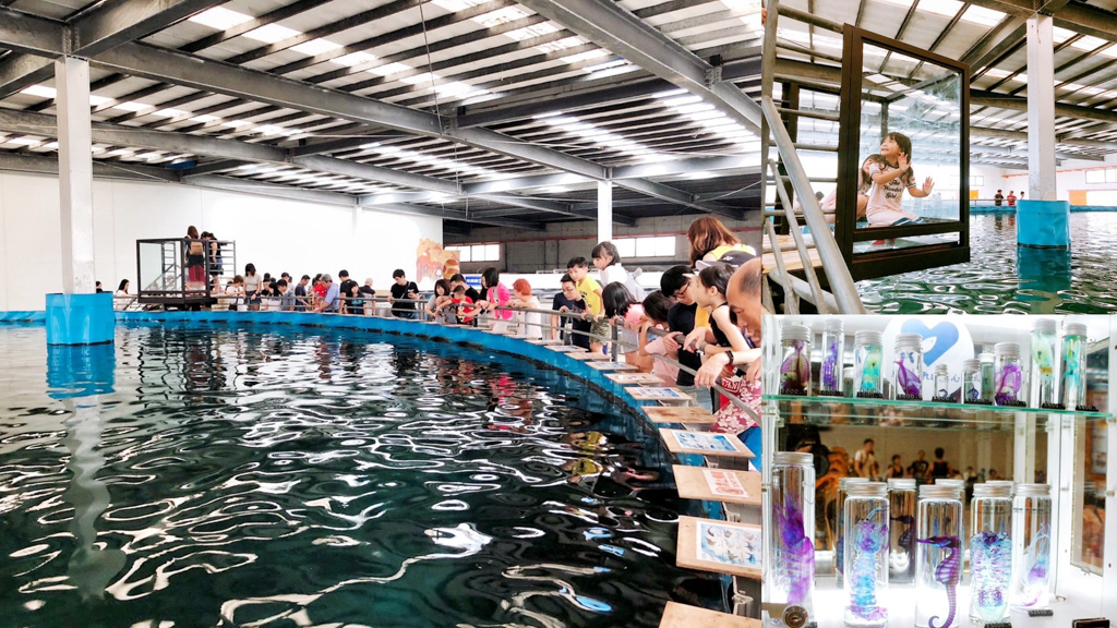 免費入場,宜蘭景點,金車生技,金車生技水產養殖研發中心,餵食鯊魚 @艾瑪  吃喝玩樂札記