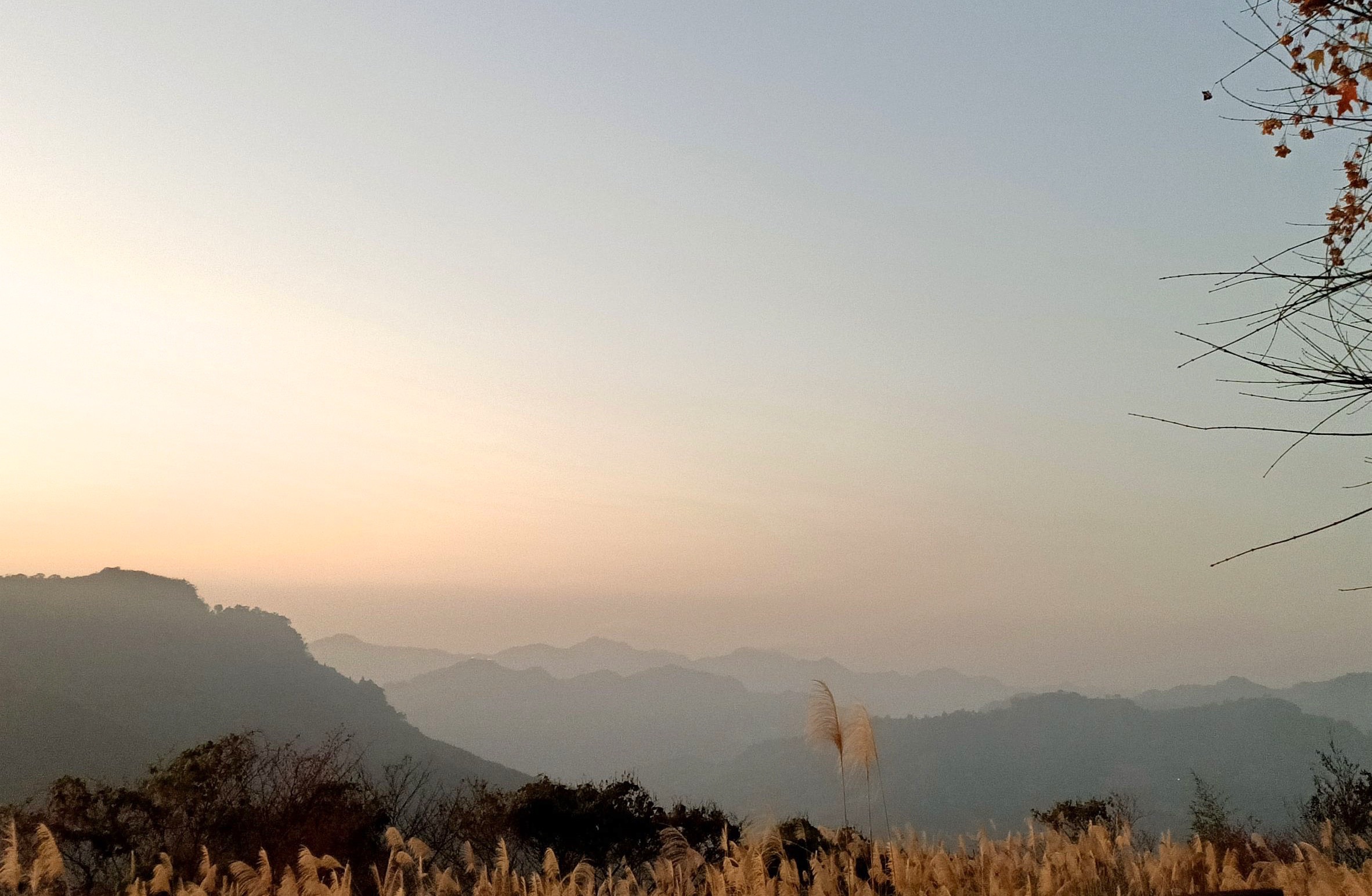 泰安仙境，露營聖地，苗栗景點，住宿推薦