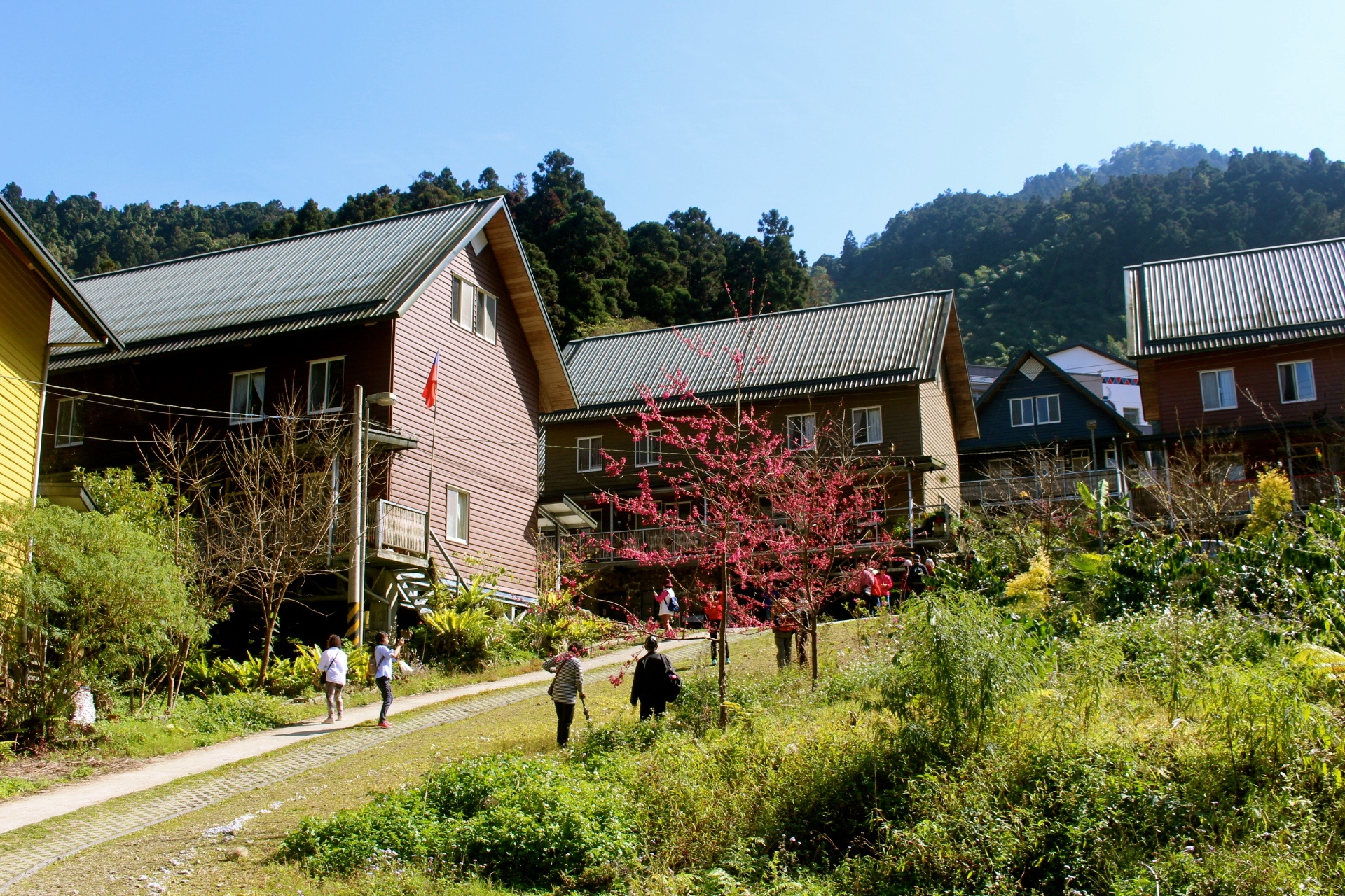 【遊 都恩亞納】遺落的深山秘境！海拔1400公尺的臺版小合掌村「鄒族部落」