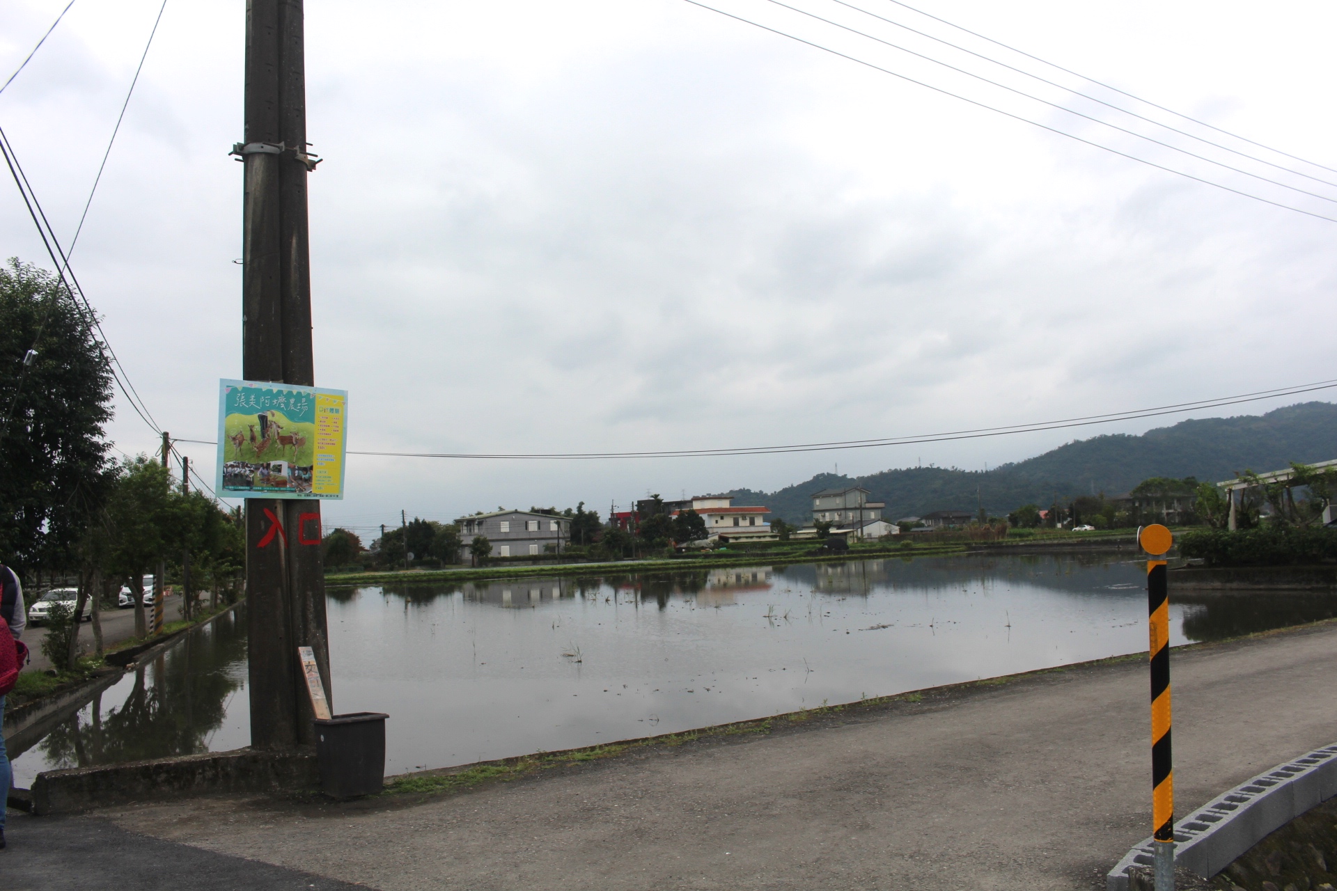 【玩 張美阿嬤農場】150元體驗餵鹿(含蔥油餅一份、暢飲有機紅茶）預約親子DIY體驗才能更有趣！