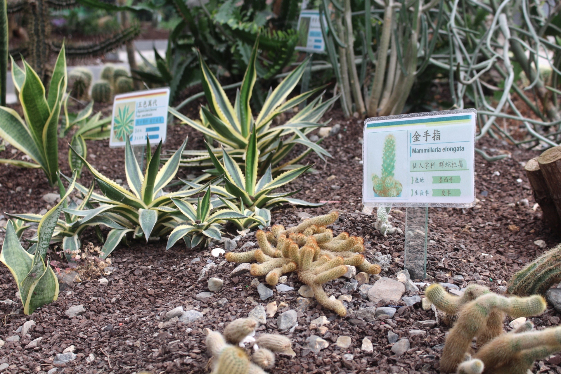 免門(mén)票,宜蘭景點(diǎn),礁溪好玩,金車(chē)礁溪蘭花園