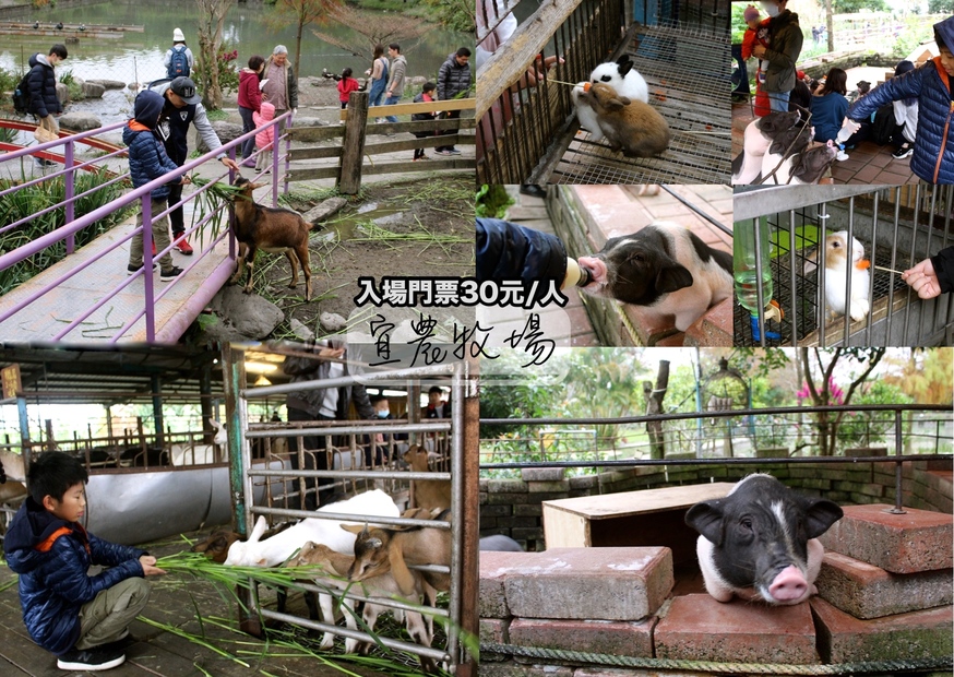 宜農牧場，銅板門票，動物餵食，宜蘭好玩，親子遊 @艾瑪  吃喝玩樂札記