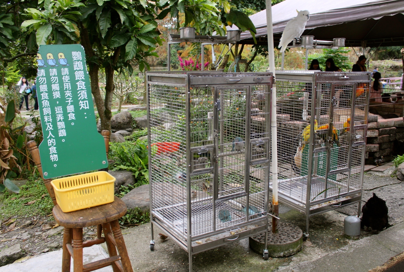 【玩 宜農(nóng)牧場】30元誠實投幣入園．餵食五寶100元可以餵到八種小動物！不限時間、附設(shè)停車場